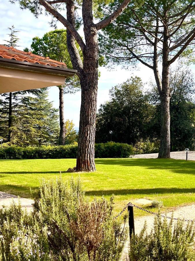 Nuances Del Conero Relais Bed & Breakfast Castelfidardo Exterior photo